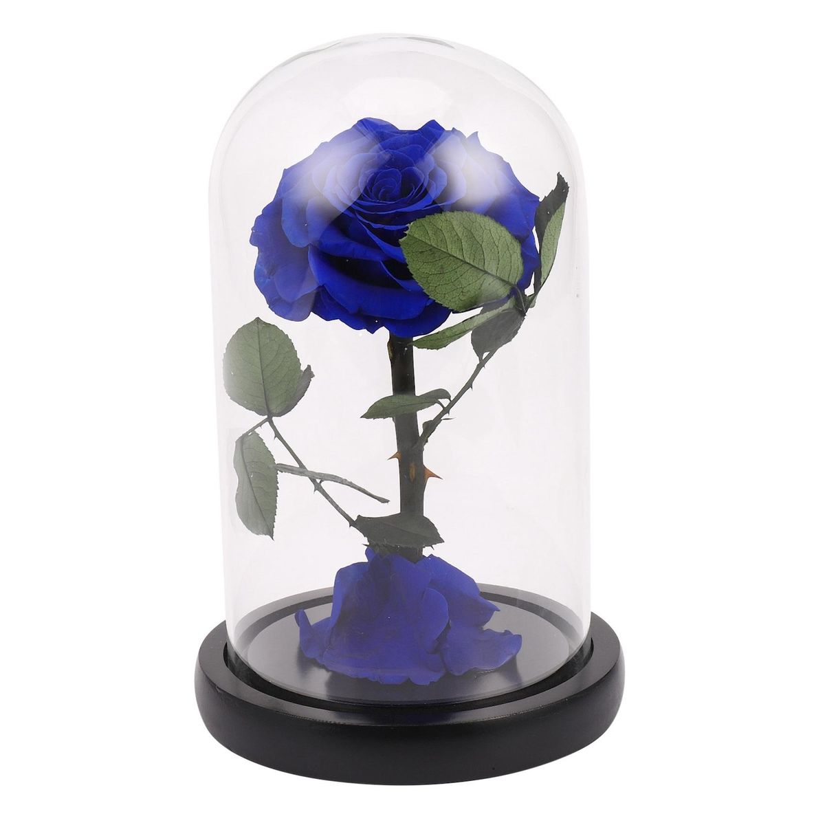 Glass Cover Fresh Preserved Rose Flower Barbed Rose Flores