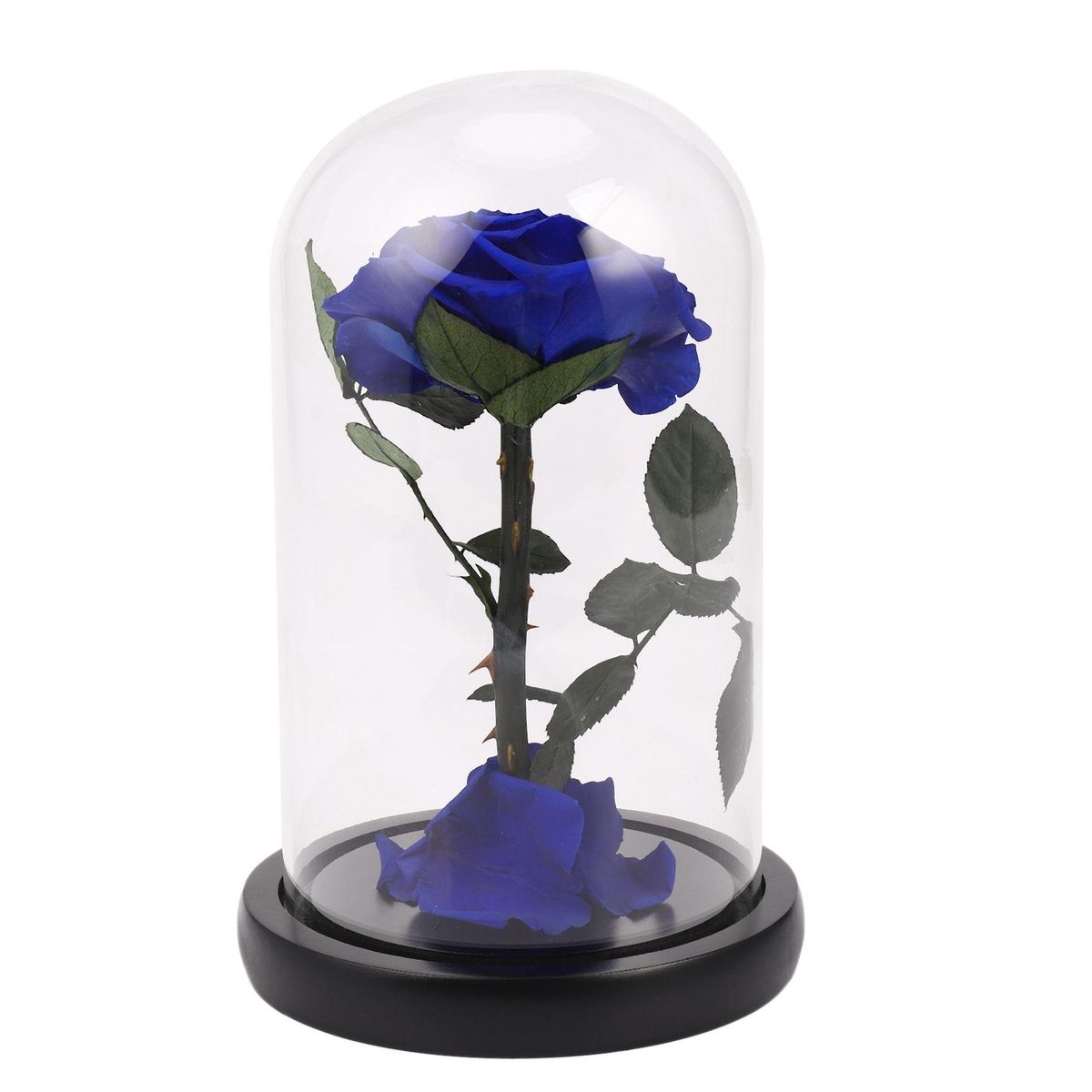 Glass Cover Fresh Preserved Rose Flower Barbed Rose Flores