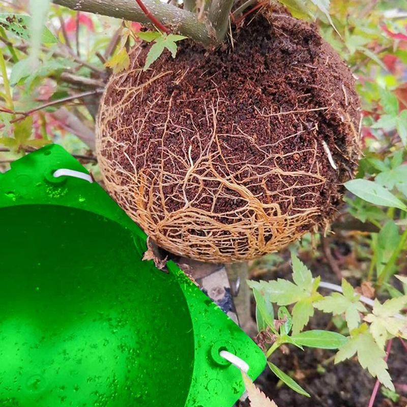 5 Pieces of Plant Propagation and Rooting Ball Device-Reusable Plant Propagation Grafting Box S Green