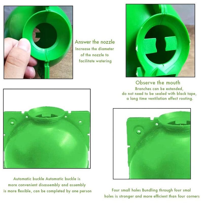 5 Pieces of Plant Propagation and Rooting Ball Device-Reusable Plant Propagation Grafting Box S Green