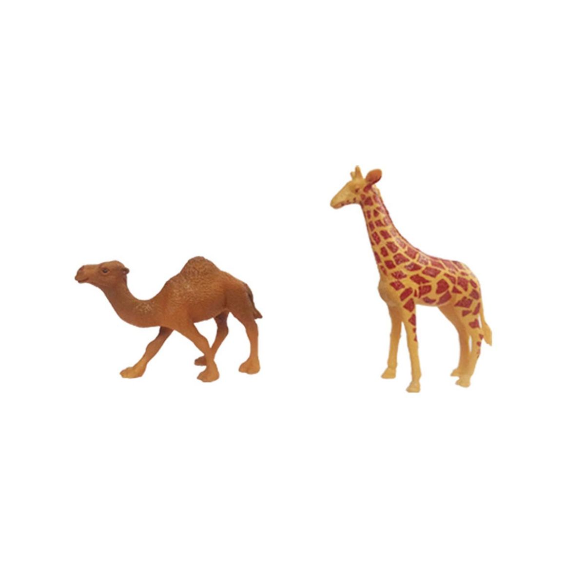 2Pcs Teaching Model Toys Kids Science And Educational Toys