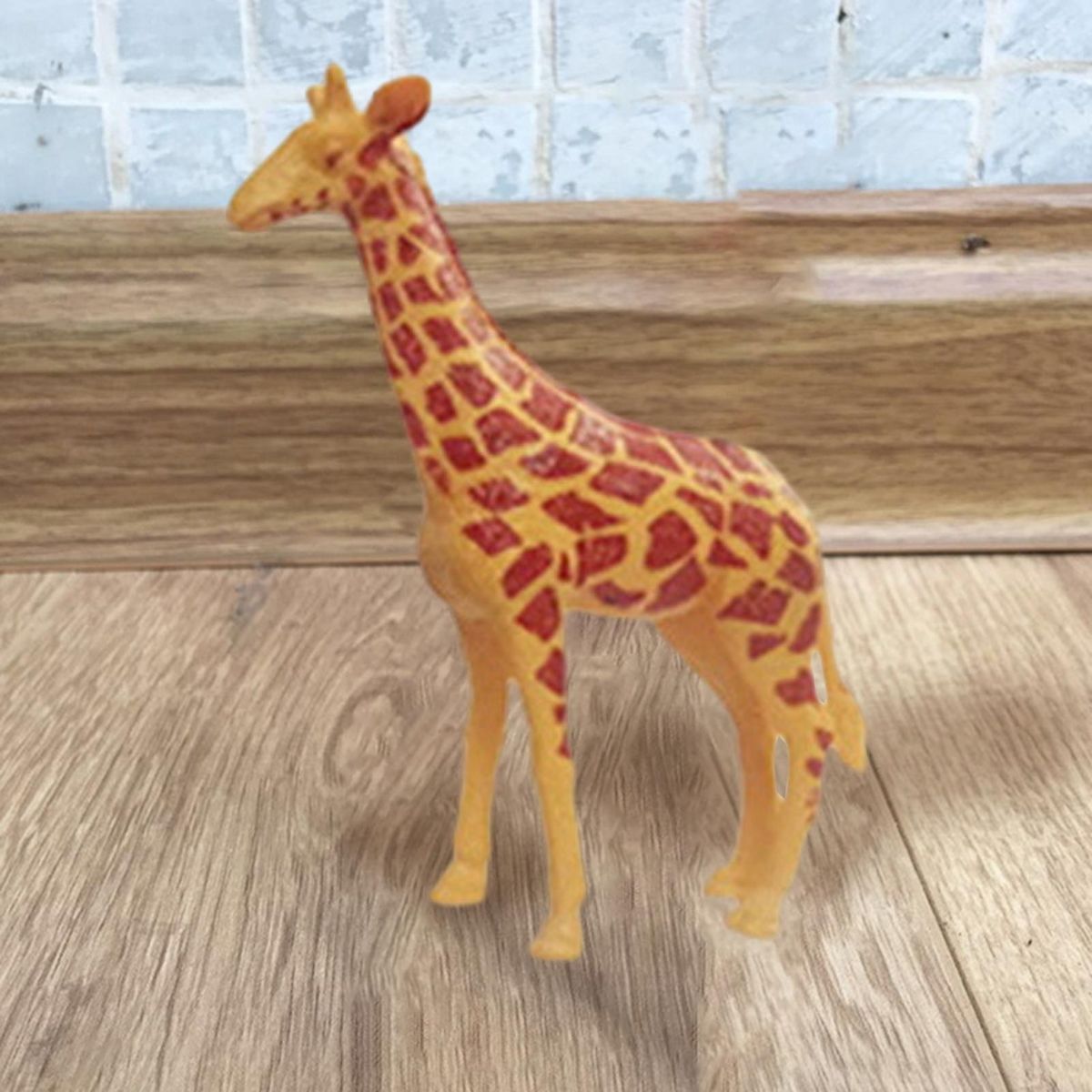 2Pcs Teaching Model Toys Kids Science And Educational Toys