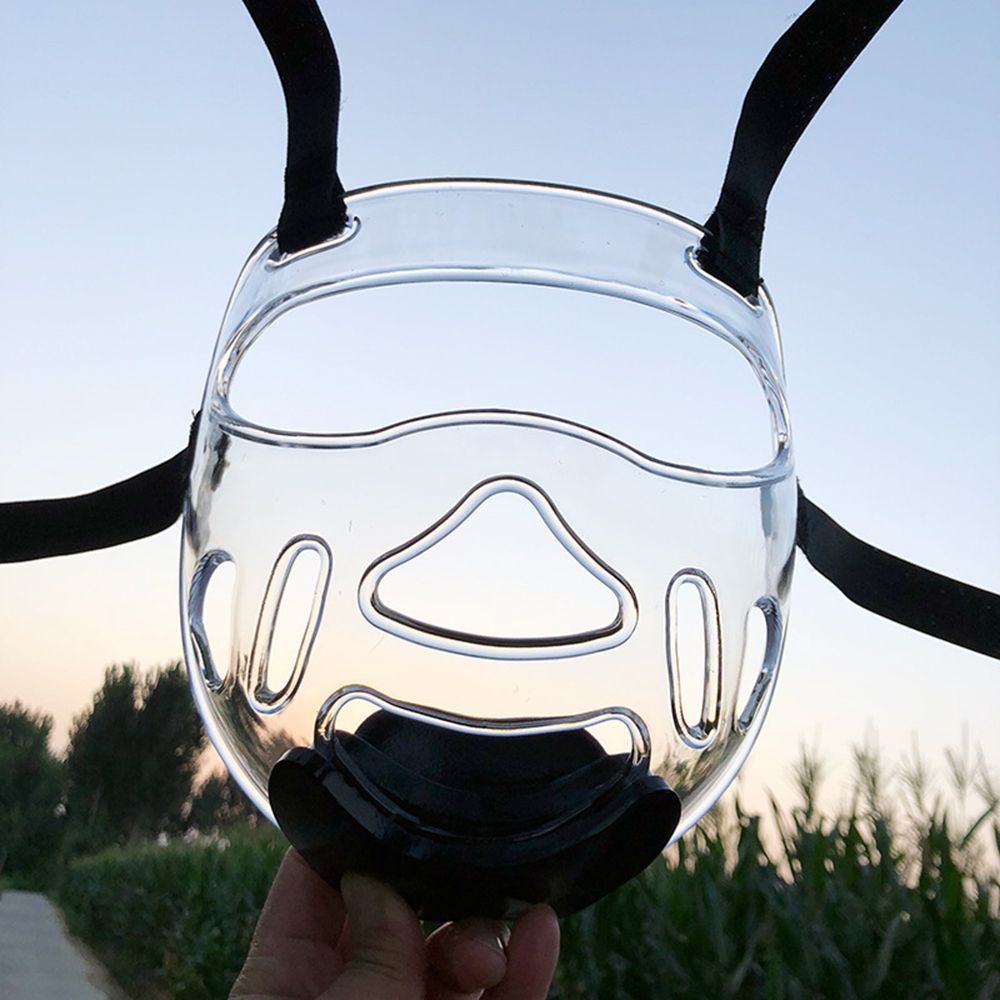 Boxing Helmet Guard Clear Face Guard Detachable High Impact