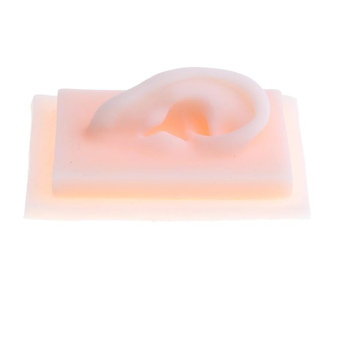 11 Lifesize Silicone Human Right Acupuncture Ear Model  Study Kit