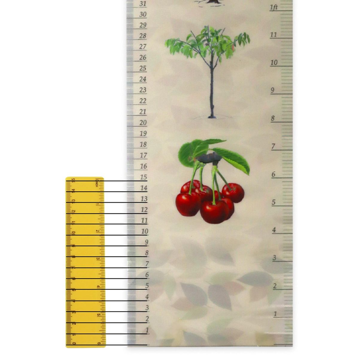Wall Hanging Baby Growth Chart Nursery Decor Wall Decals Birthday Gift