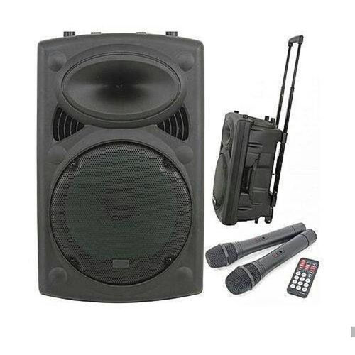 Loud 2 Microphones 12