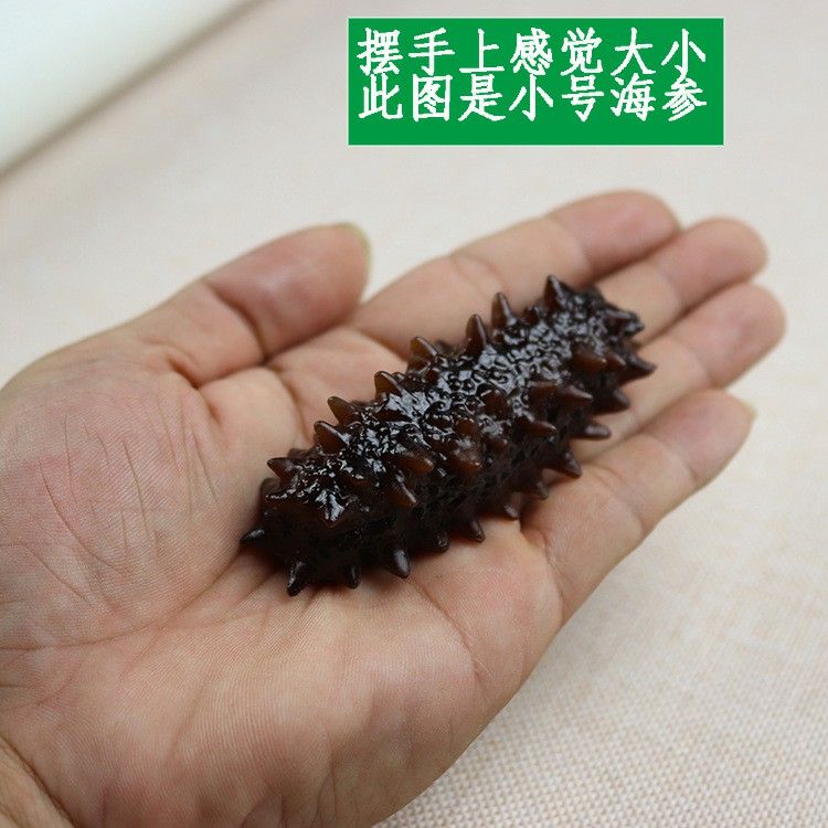 1pc  Sea Cucumber Model  Sea Cucumber Seafood Hotel