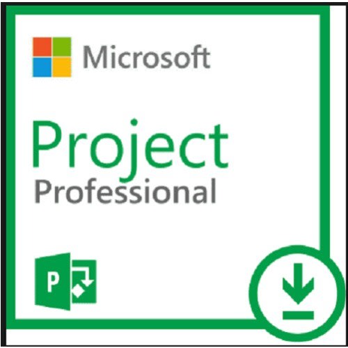Microsoft Project 2019 Professional