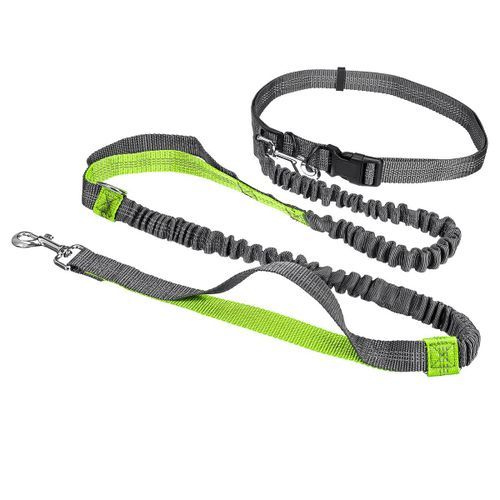 Adjustable Elastic Waist Belt Leash Hands Free Pet Dog Walk