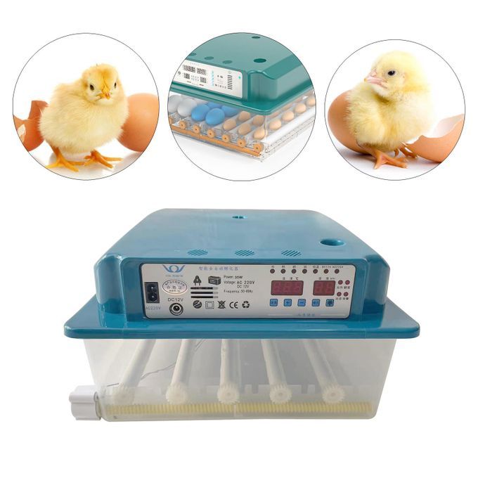Automatic 24 Eggs Incubator Fully Digital Poultry Egg Candler Family