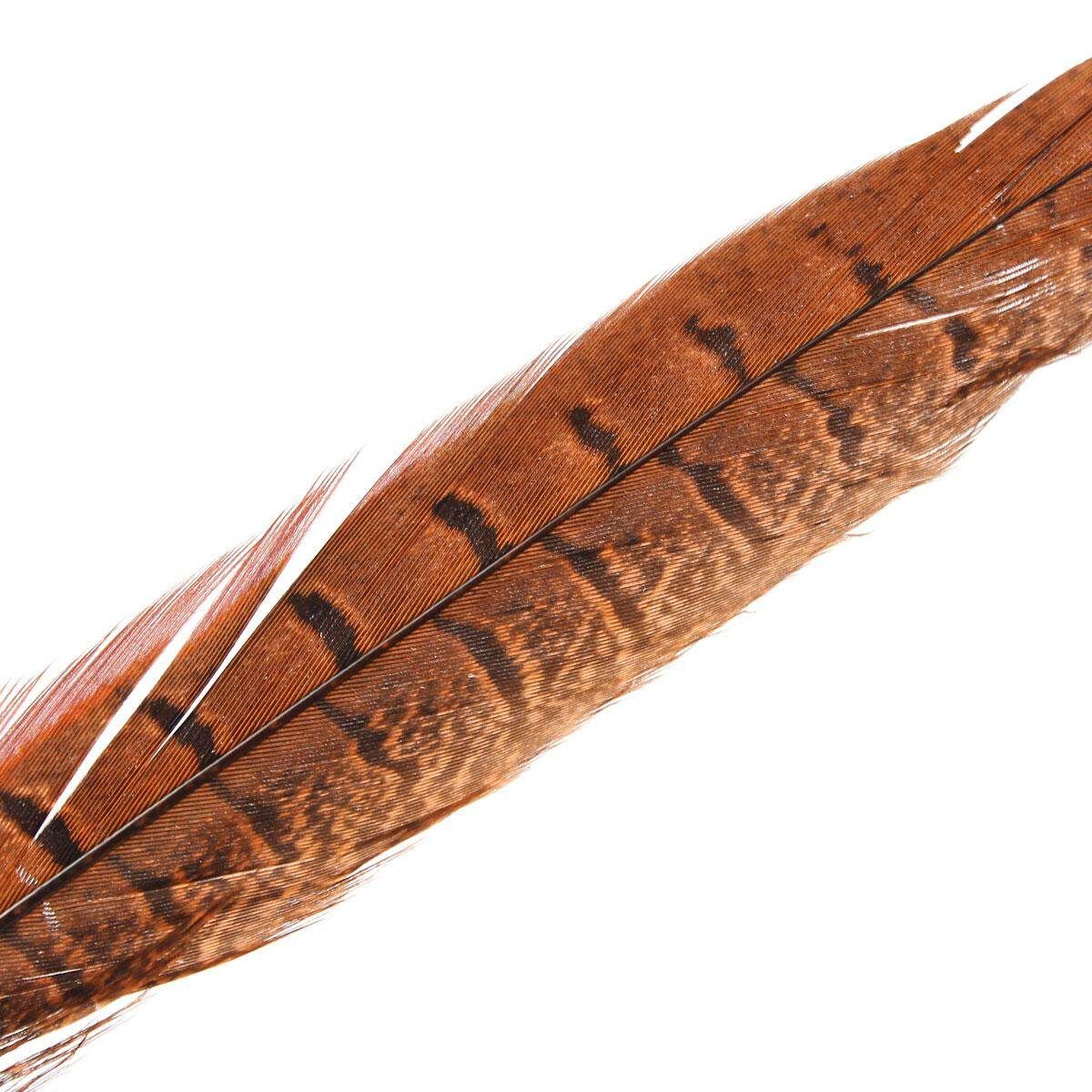 10Pcs Beautiful Pheasant Tail Feathers 12-14 Inch Long Costume Millinery Multicolor Orange