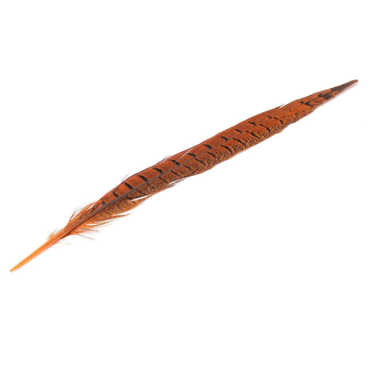 10Pcs Beautiful Pheasant Tail Feathers 12-14 Inch Long Costume Millinery Multicolor Orange