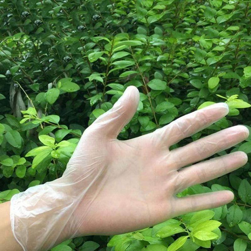 50 Pcs Disposable Gloves , Ambidextrous Protective Powder-Free Latex-Free PVC Gloves for Dishwashing Automotive Food Processing Salons Workshops,S