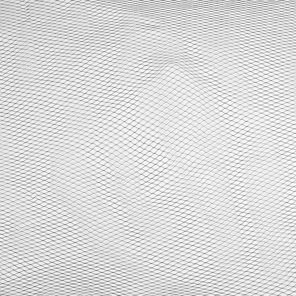 Pond Cover Net Fish Anti Bird Netting Garden Mesh Fruit Veg Protect + 10x Nail-4x4m Black