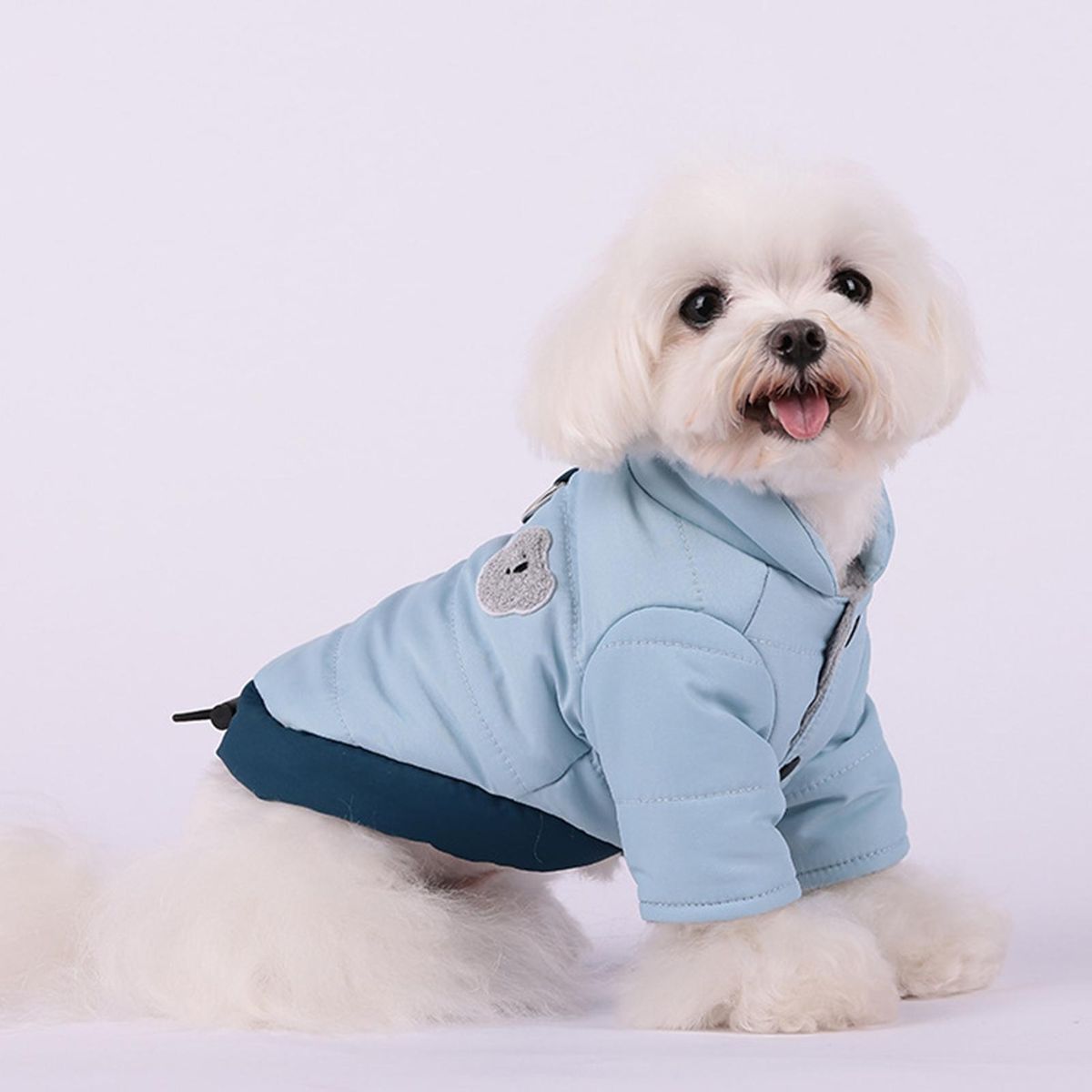 Puppy Clothes Puppy Jacket Coat Pet Two-legged Clothes Blue