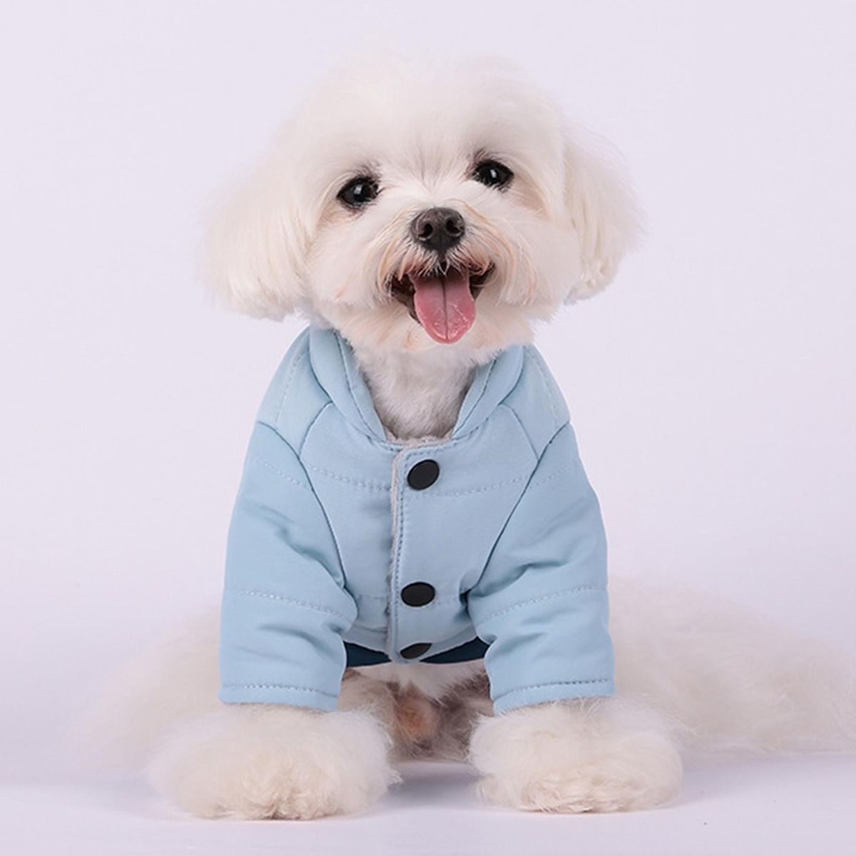 Puppy Clothes Puppy Jacket Coat Pet Two-legged Clothes Blue
