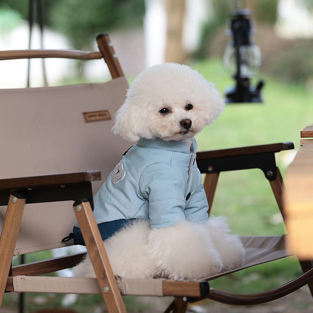 Puppy Clothes Puppy Jacket Coat Pet Two-legged Clothes Blue