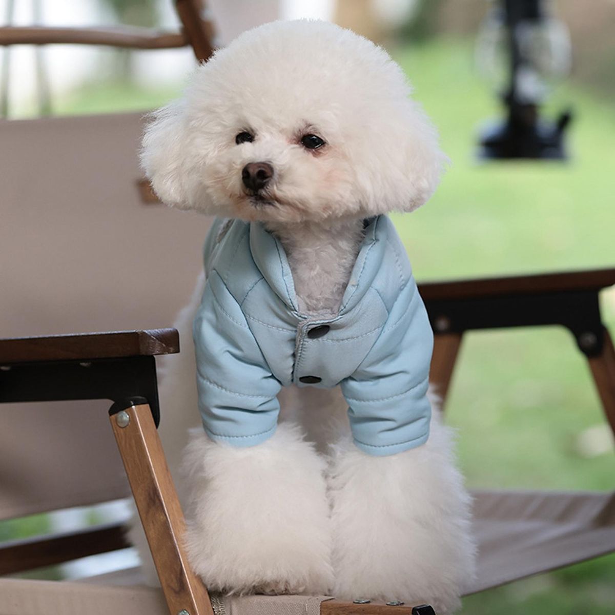 Puppy Clothes Puppy Jacket Coat Pet Two-legged Clothes Blue