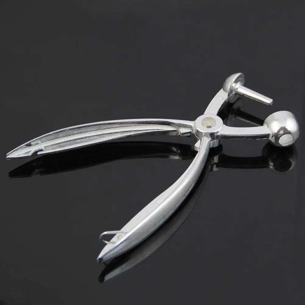 COFA And Nilver Aluminum Cherry Pitter Red Dates Olives Pit Easy Removal Core Squeeze Clamp seedser 18*3.5cm(Silver)