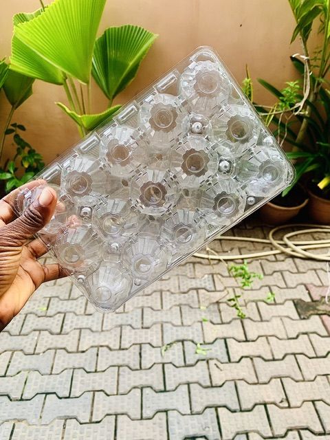 15 Holes Transparent Egg Crates