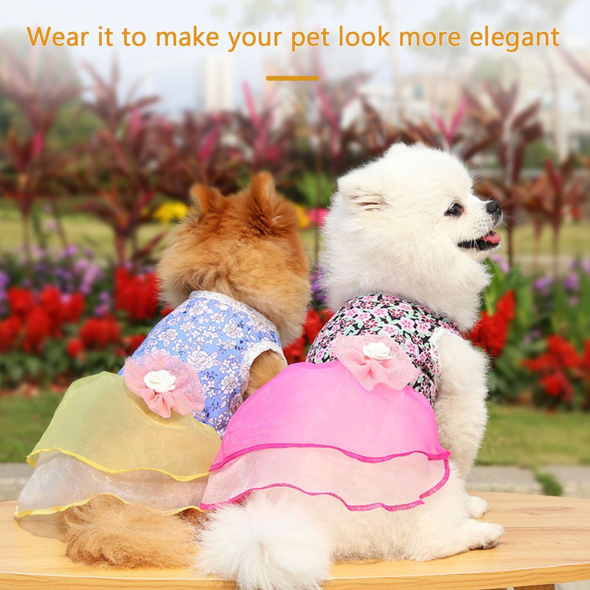 Dog Dress Dog Skirt Dog Floral Skirt Elegant Summer Dress