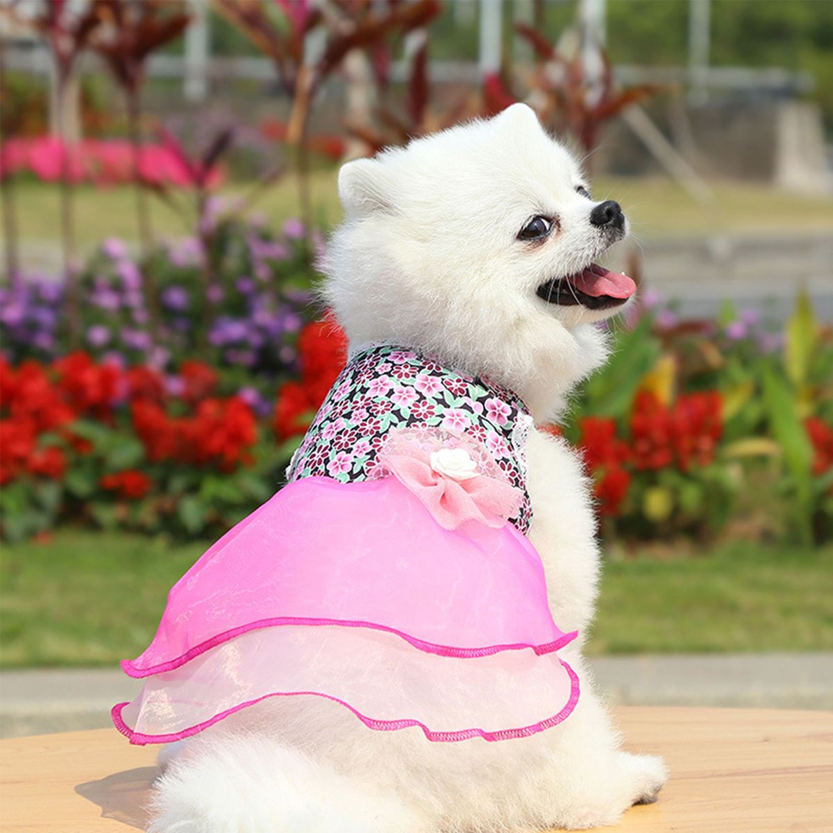 Dog Dress Dog Skirt Dog Floral Skirt Elegant Summer Dress
