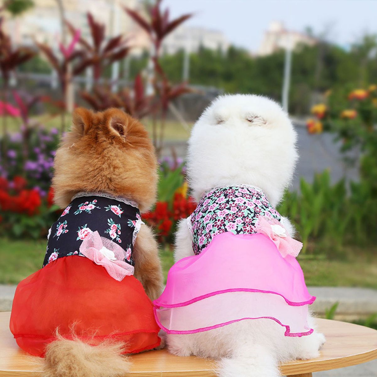 Dog Dress Dog Skirt Dog Floral Skirt Elegant Summer Dress
