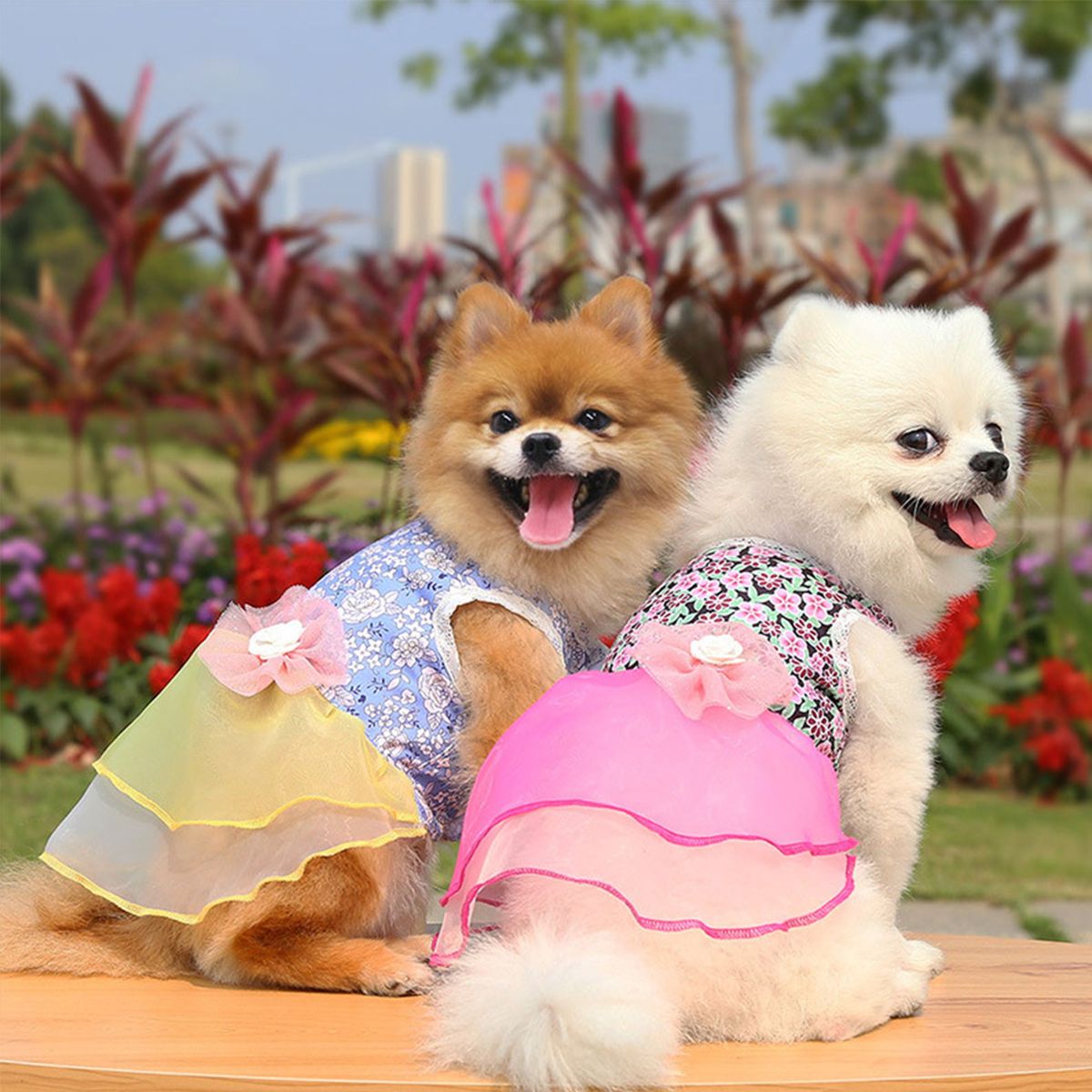 Dog Dress Dog Skirt Dog Floral Skirt Elegant Summer Dress