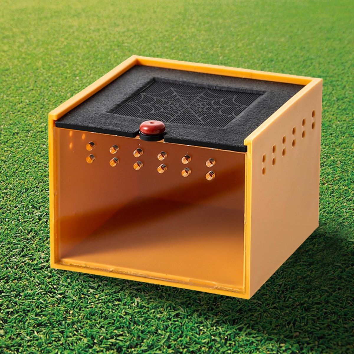 Air Circulation Pet Box Spider Haven View Feeding Box with for Jumping Yellow