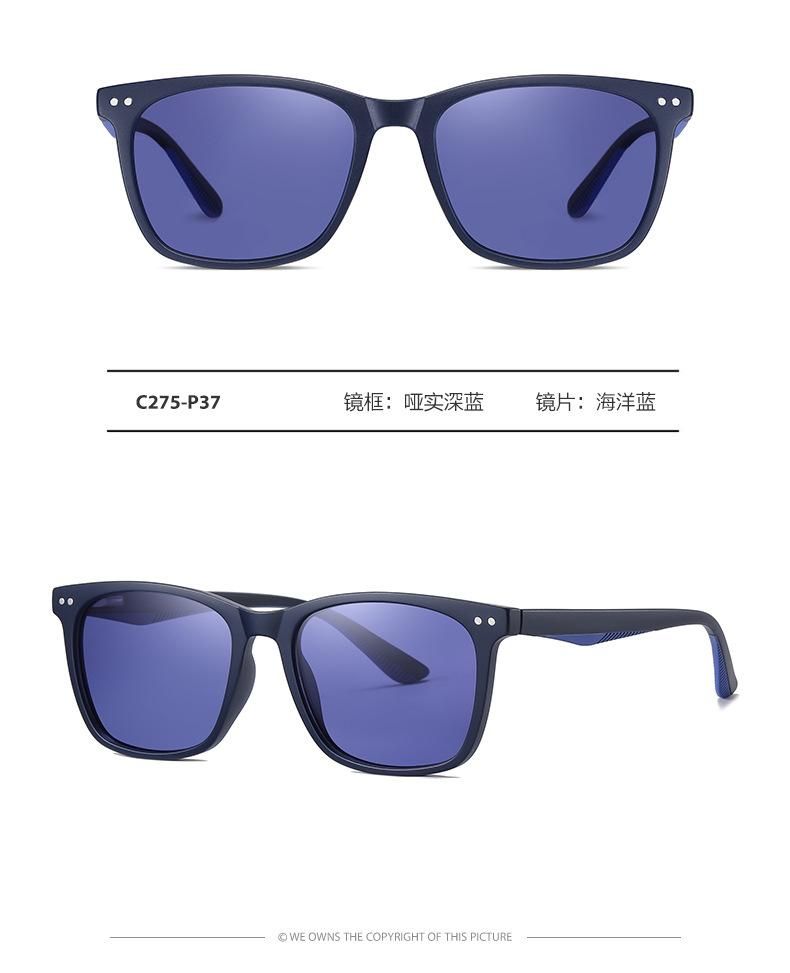 Retro Sunglasses Unisex Square Sunglasses C275