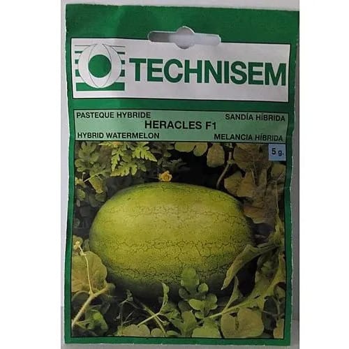 Hybrid Watermelon Seed - Heracles F1 - 5g