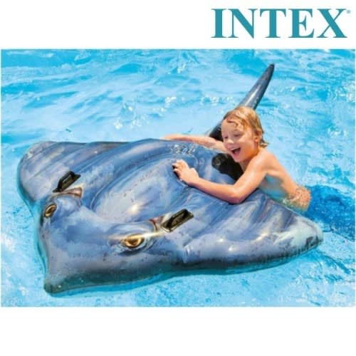 Stingray Ride-on Floater