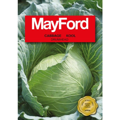 Cabbage Seeds - Drumhead - 10 Grams