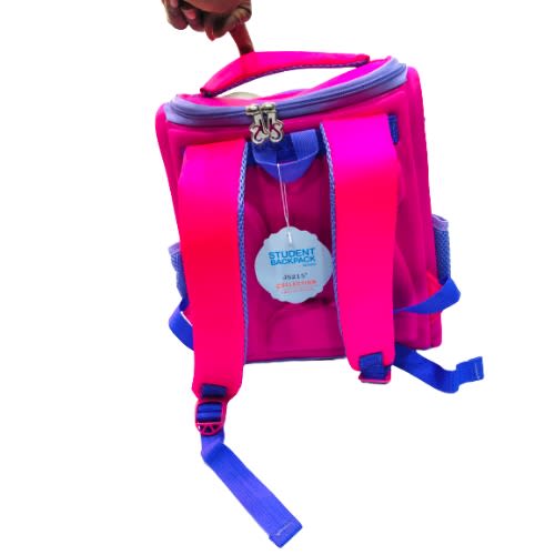 Frozen Girls School Backpack