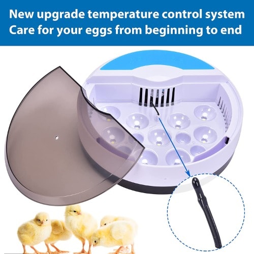 9 Eggs Incubator For Bird, Chicken Eggs