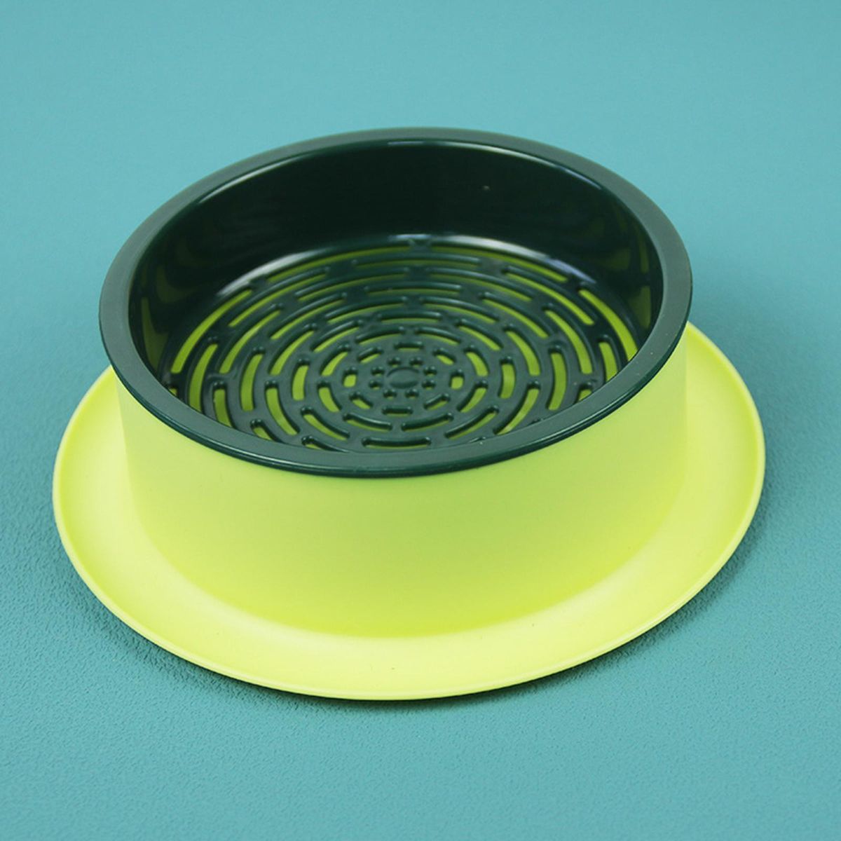 Box Seed  Propagation Yellow Base Green