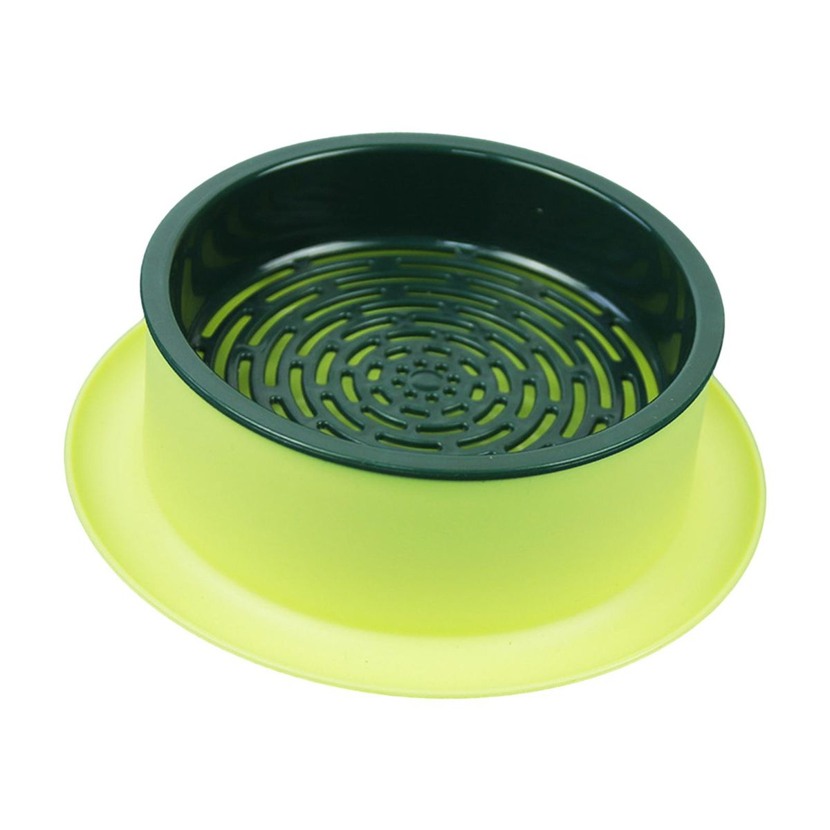 Box Seed  Propagation Yellow Base Green