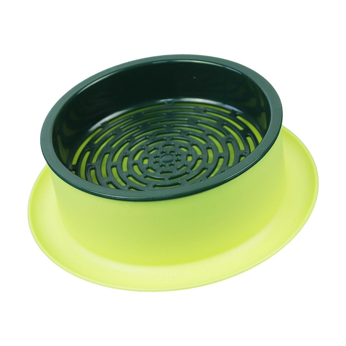 Box Seed  Propagation Yellow Base Green
