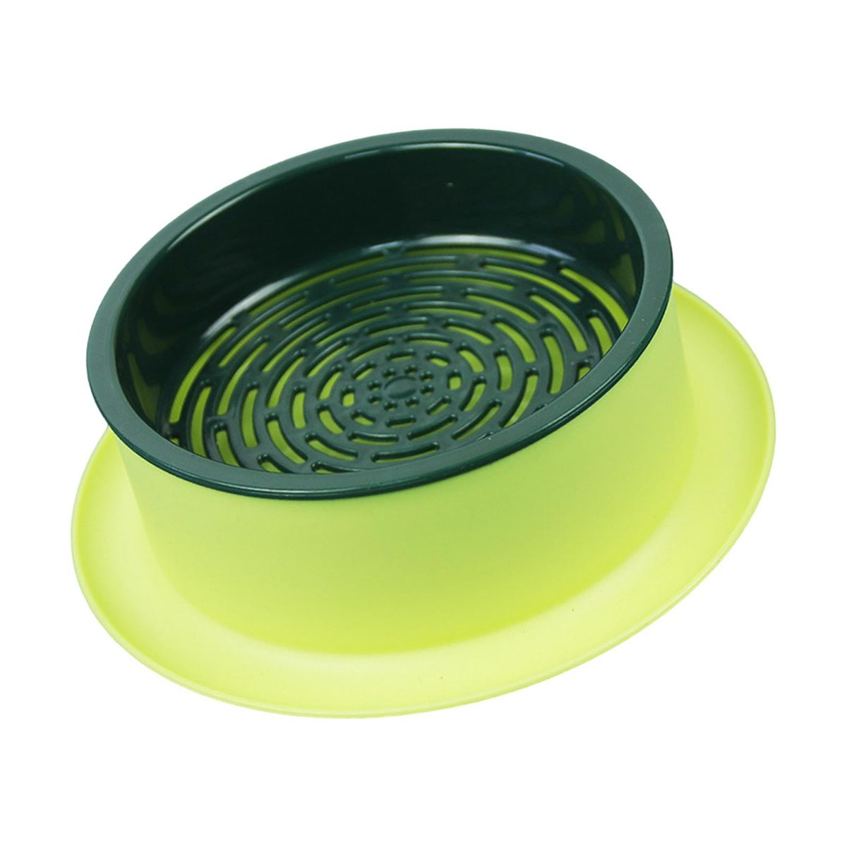 Box Seed  Propagation Yellow Base Green