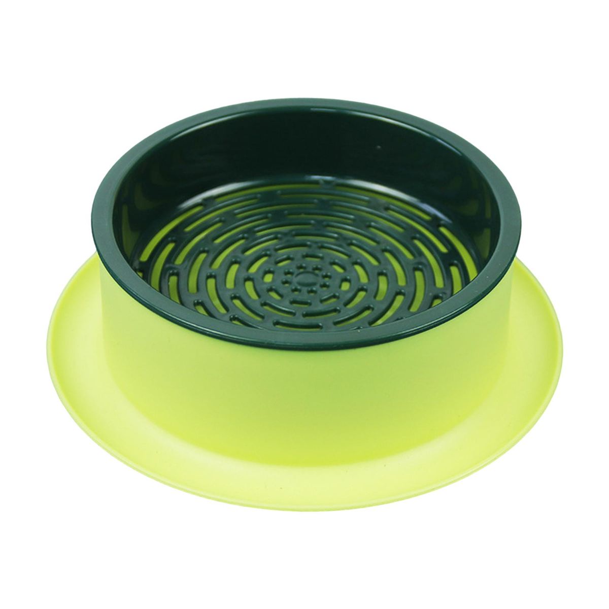 Box Seed  Propagation Yellow Base Green