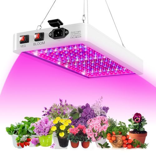 2000W LED Grow Light For Indoor Plants 312 LEDs Full