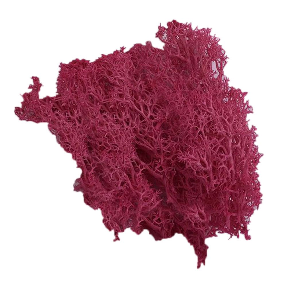 Artificial Plant Preserved Flower Reindeer Moss DIY-Hot Pink