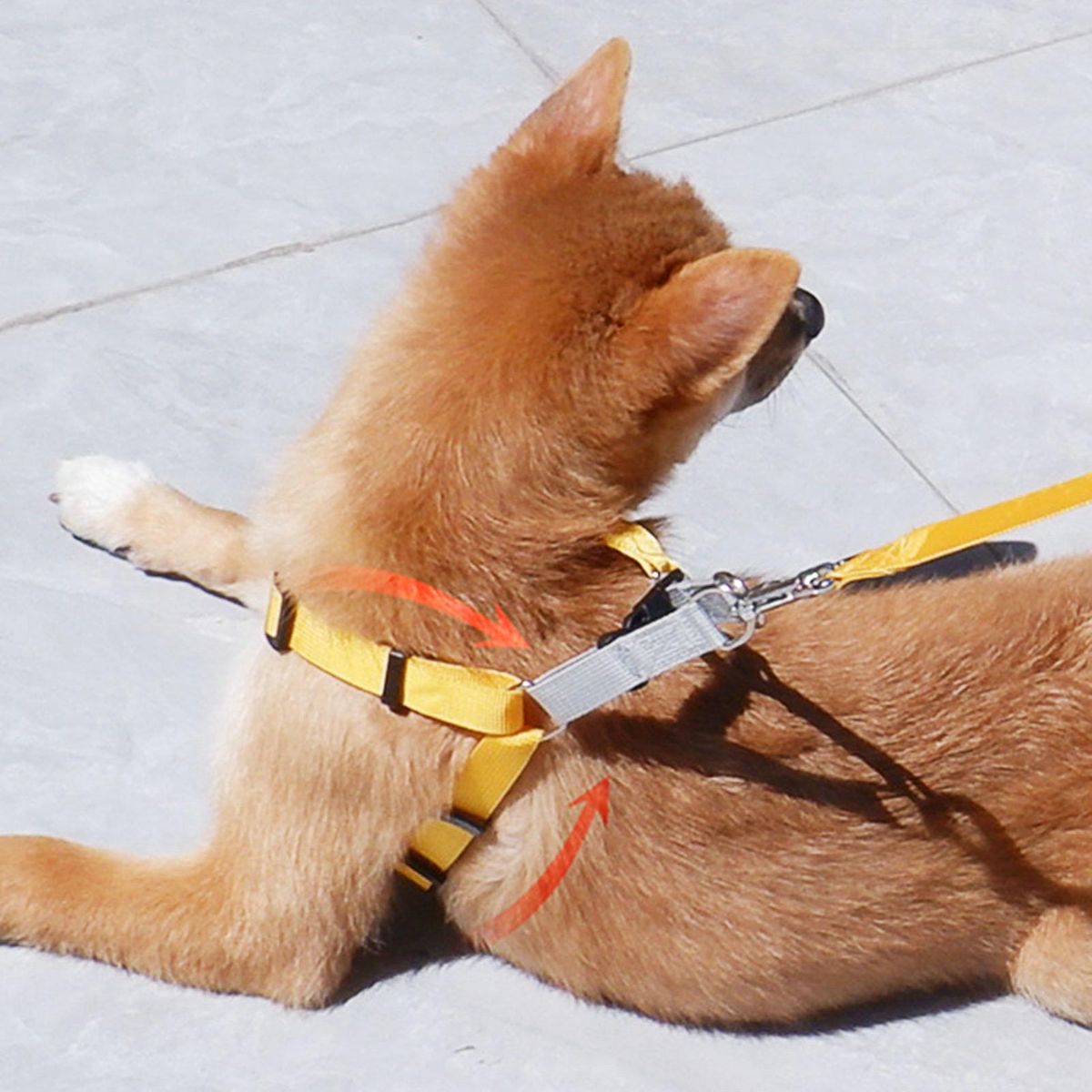 1 Set Cat Harness Pet Vest Chest Strap Leash Yellow