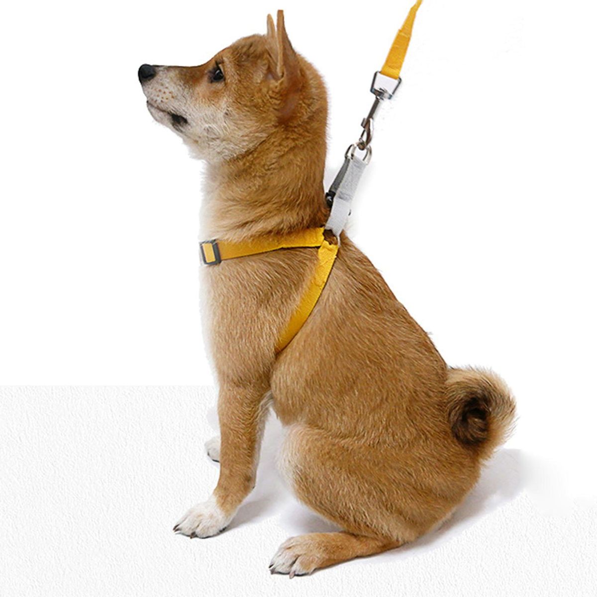 1 Set Cat Harness Pet Vest Chest Strap Leash Yellow