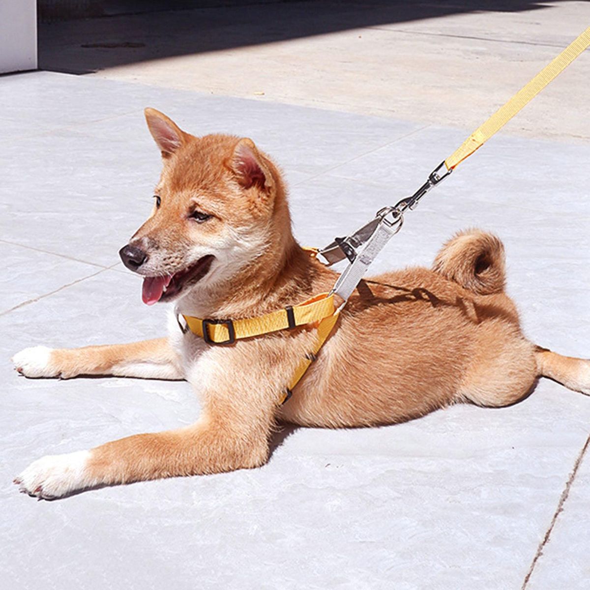1 Set Cat Harness Pet Vest Chest Strap Leash Yellow