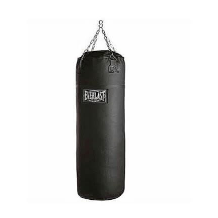 Everlast Punching Bag