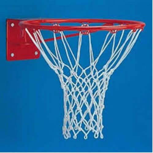 The Basketball Rim & Net