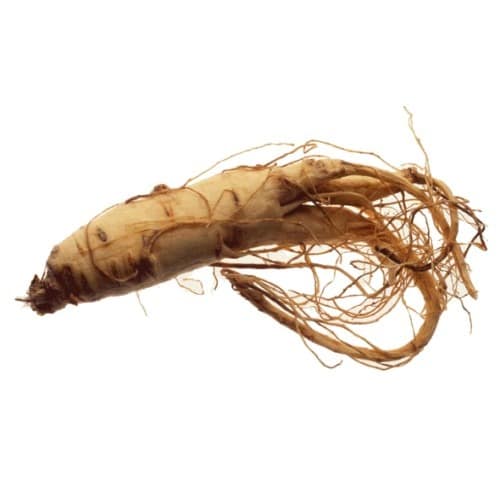 Ginseng Instant Tea