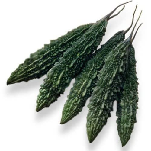 Hybrid Bitter Gourd Seed ( Palee F1 ) - 10g