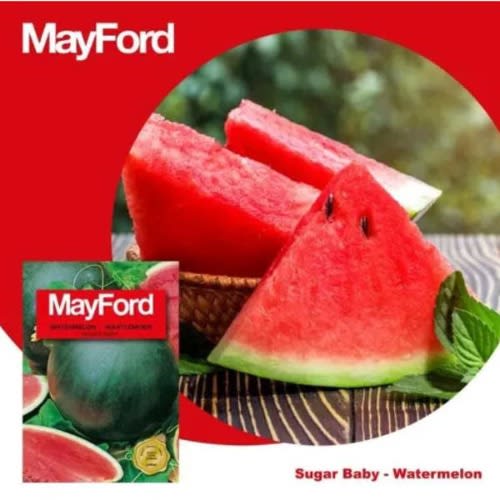 MayFord - Watermelon Seed - Sugar Baby -5g